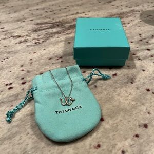 Tiffany & Co. Sterling Silver Elsa Peretti Alphabet letter Initial "W" Necklace